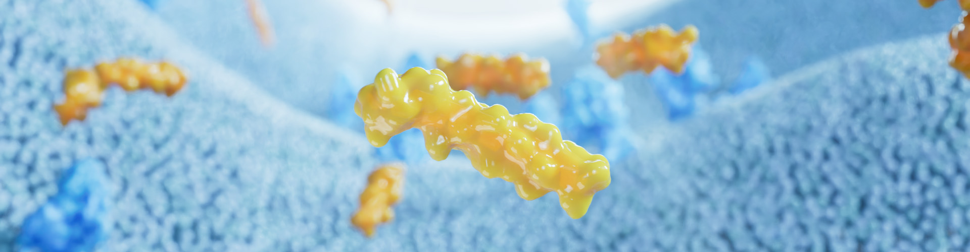 亚洲精品无码高潮喷水A片小说