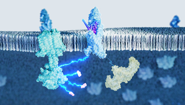 亚洲精品无码高潮喷水A片小说