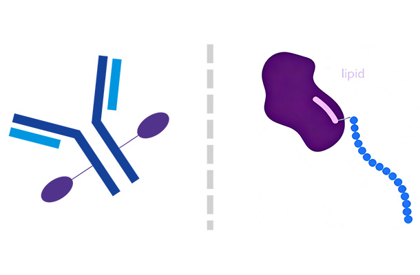 亚洲精品无码高潮喷水A片小说