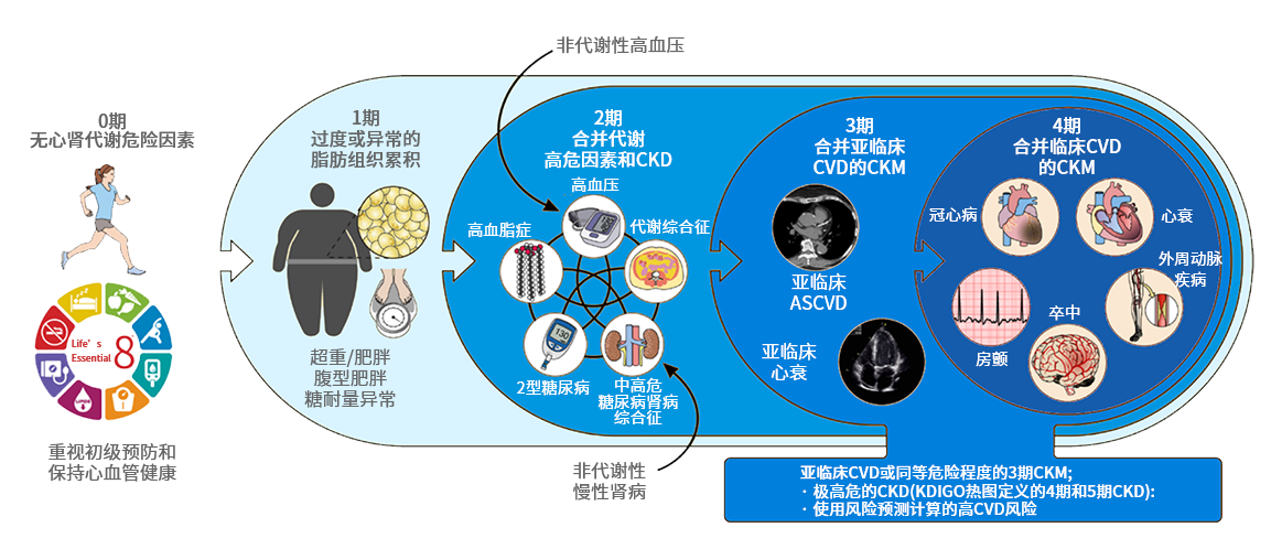 亚洲精品无码高潮喷水A片小说