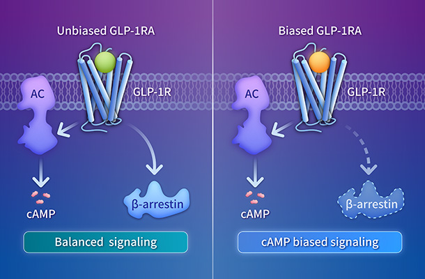 亚洲精品无码高潮喷水A片小说