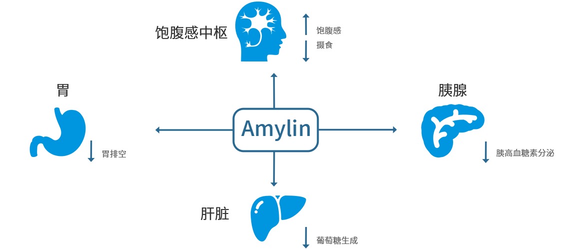 亚洲精品无码高潮喷水A片小说