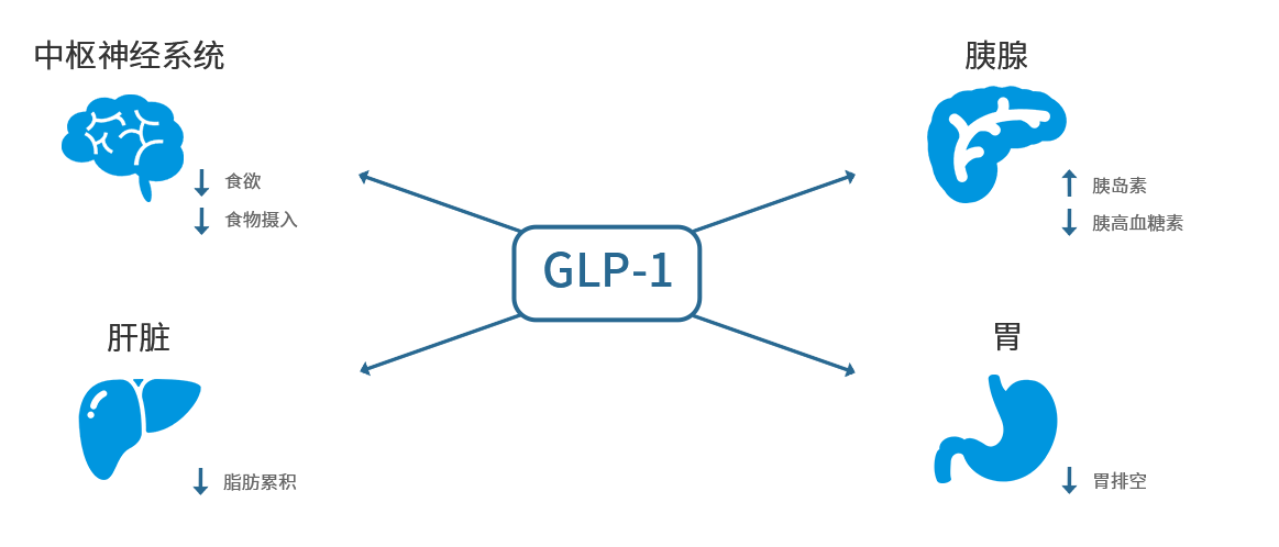 亚洲精品无码高潮喷水A片小说