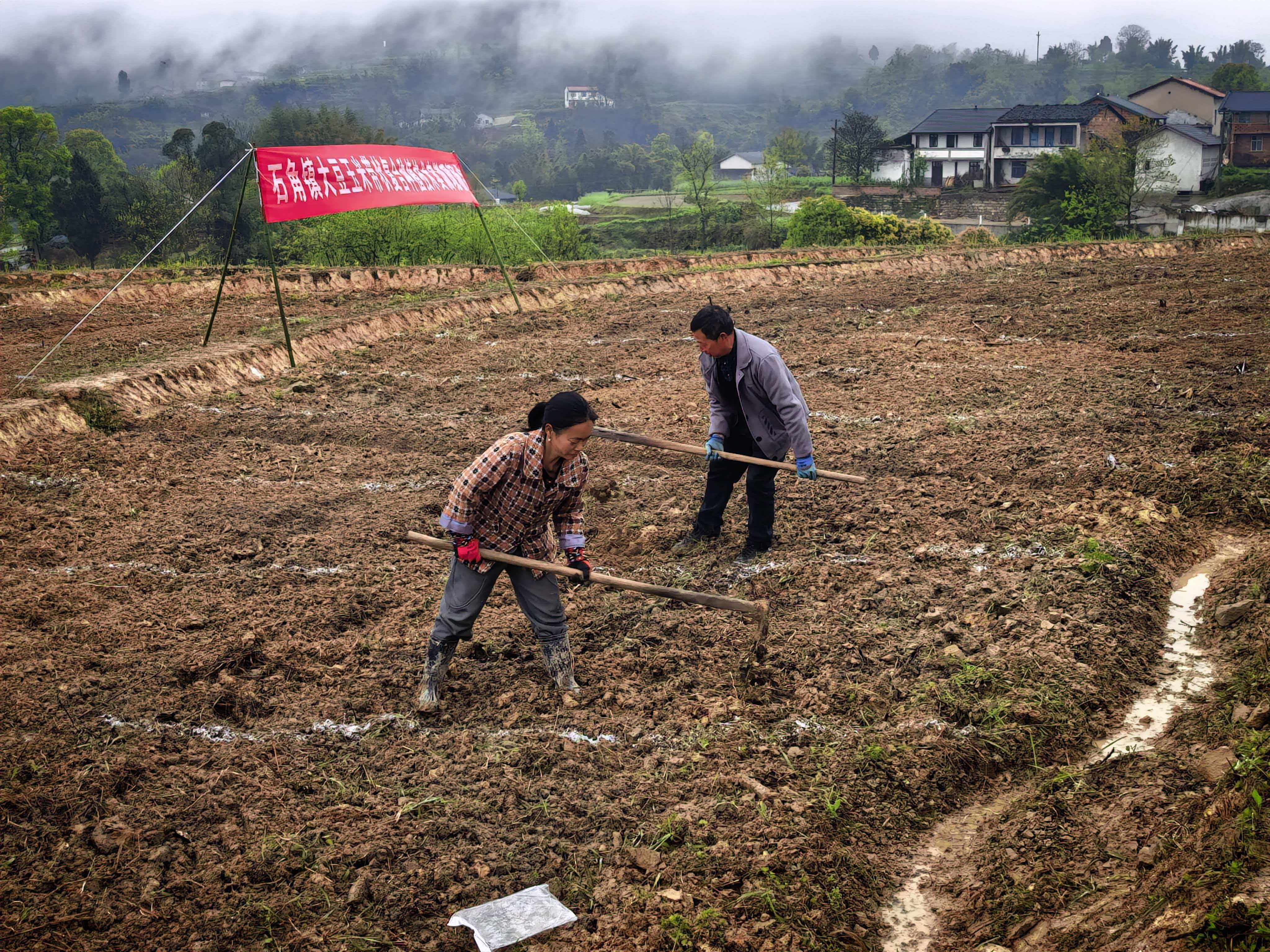 微信图片_2026-01-28_092701_000.jpg 亚洲精品无码高潮喷水A片小说