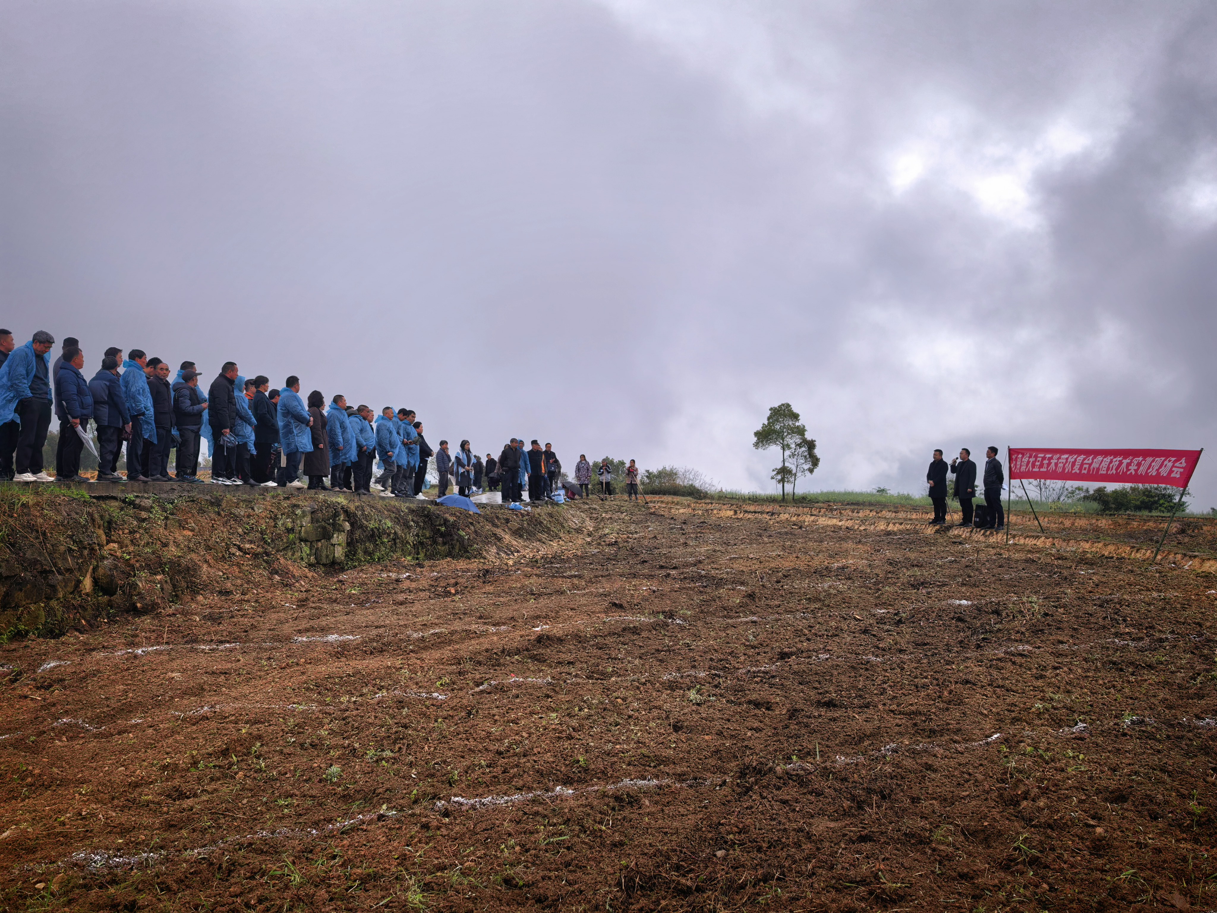微信图片_2026-03-26_171016_618.jpg 亚洲精品无码高潮喷水A片小说