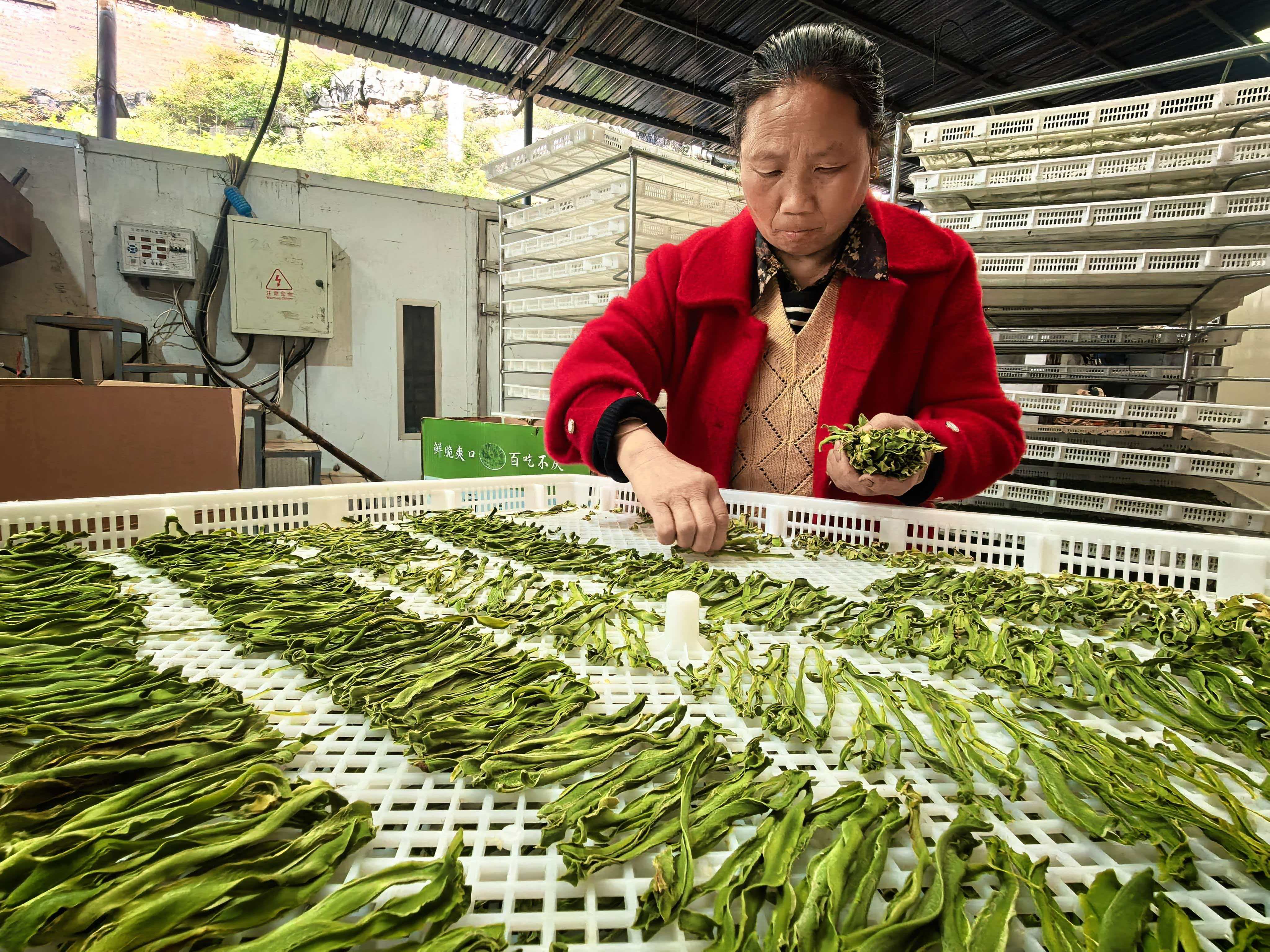 亚洲精品无码高潮喷水A片小说