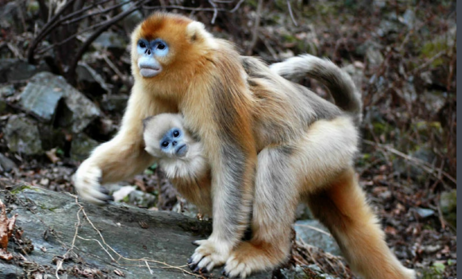 亚洲精品无码高潮喷水A片小说