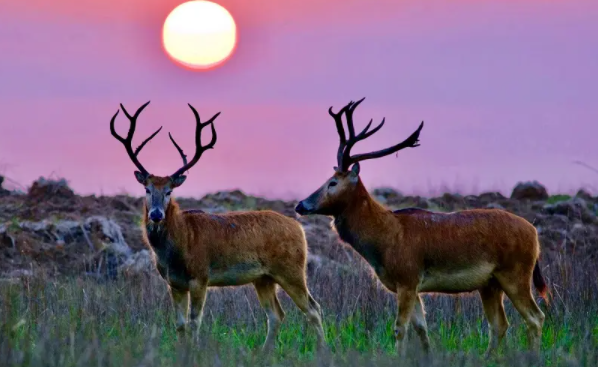 亚洲精品无码高潮喷水A片小说