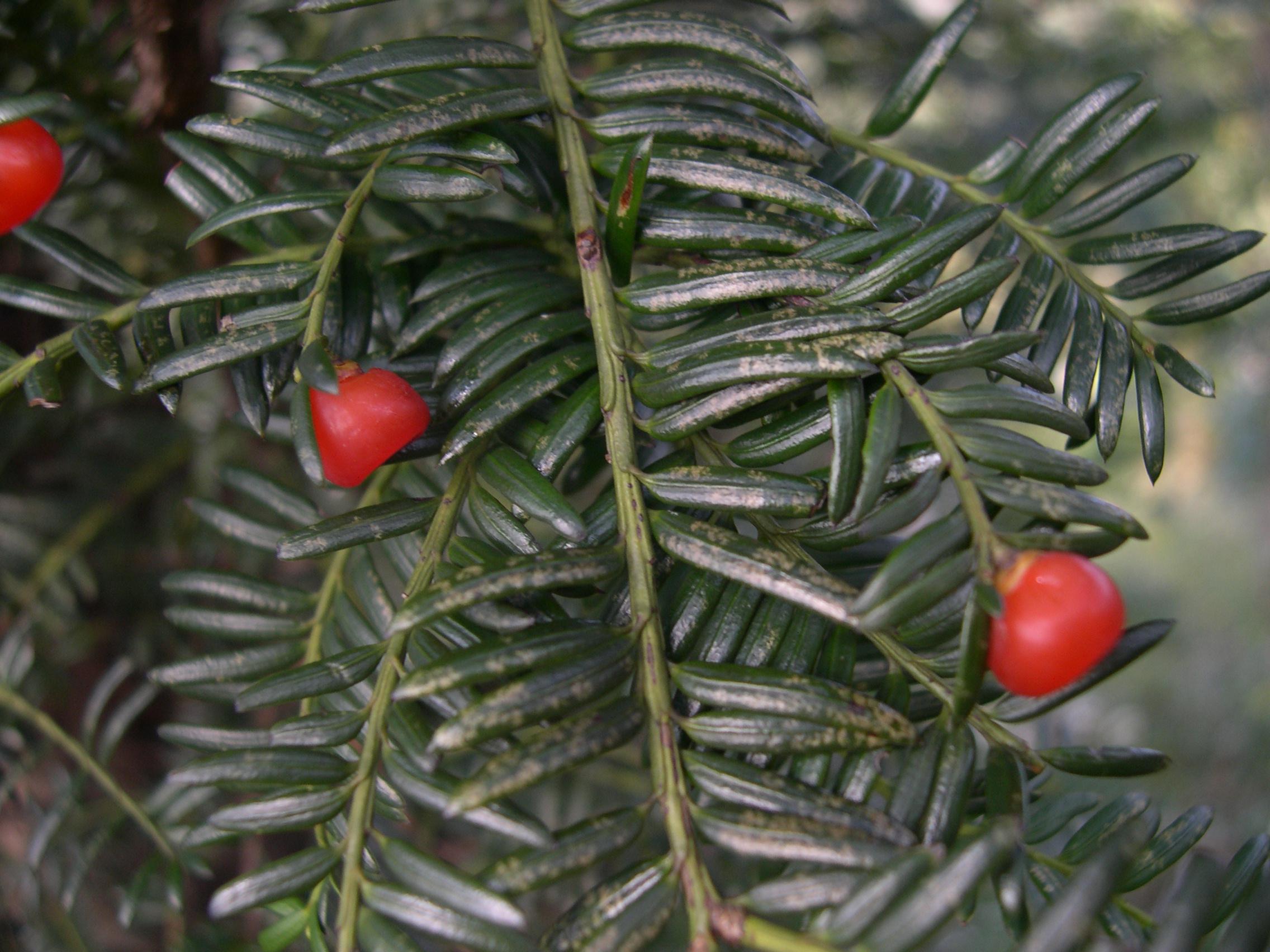 亚洲精品无码高潮喷水A片小说