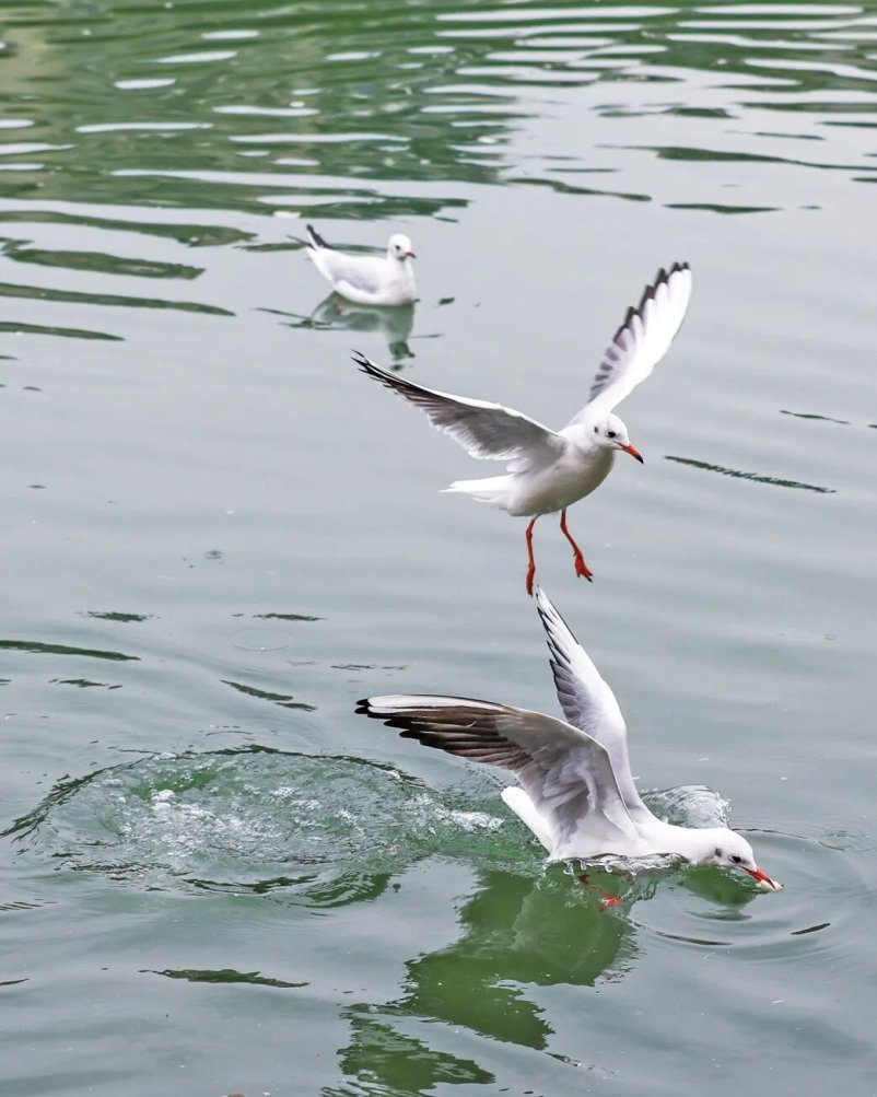 亚洲精品无码高潮喷水A片小说
