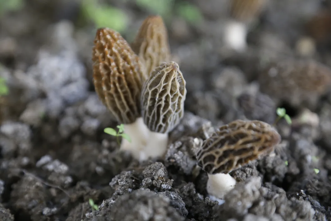 亚洲精品无码高潮喷水A片小说