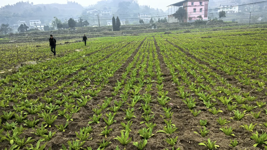 亚洲精品无码高潮喷水A片小说