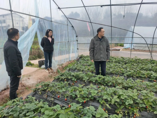 亚洲精品无码高潮喷水A片小说