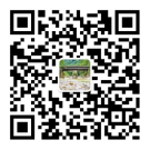 亚洲精品无码高潮喷水A片小说