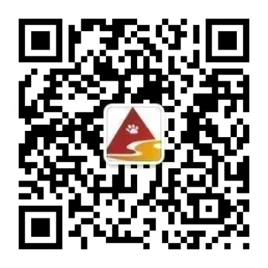 亚洲精品无码高潮喷水A片小说