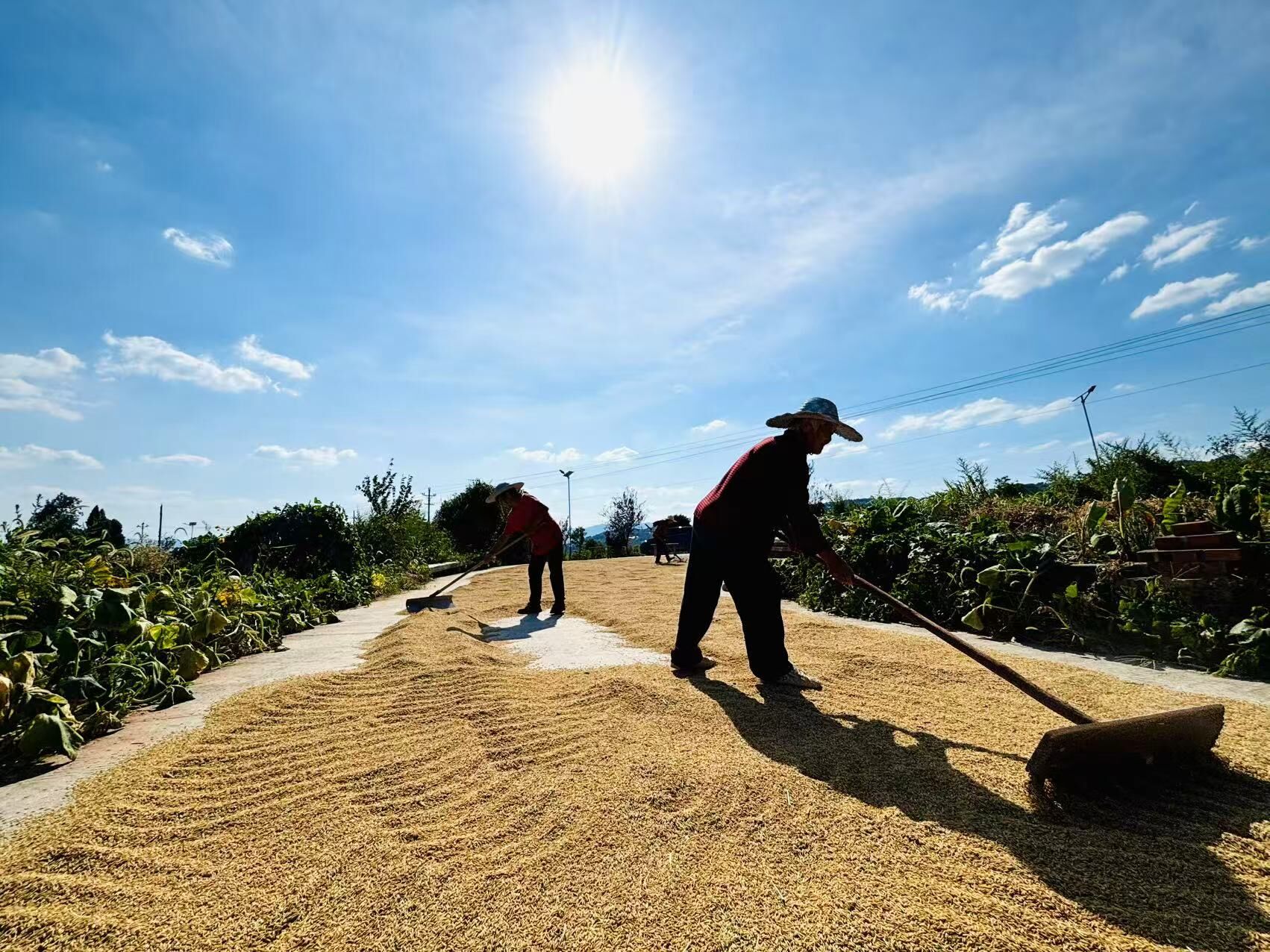 亚洲精品无码高潮喷水A片小说