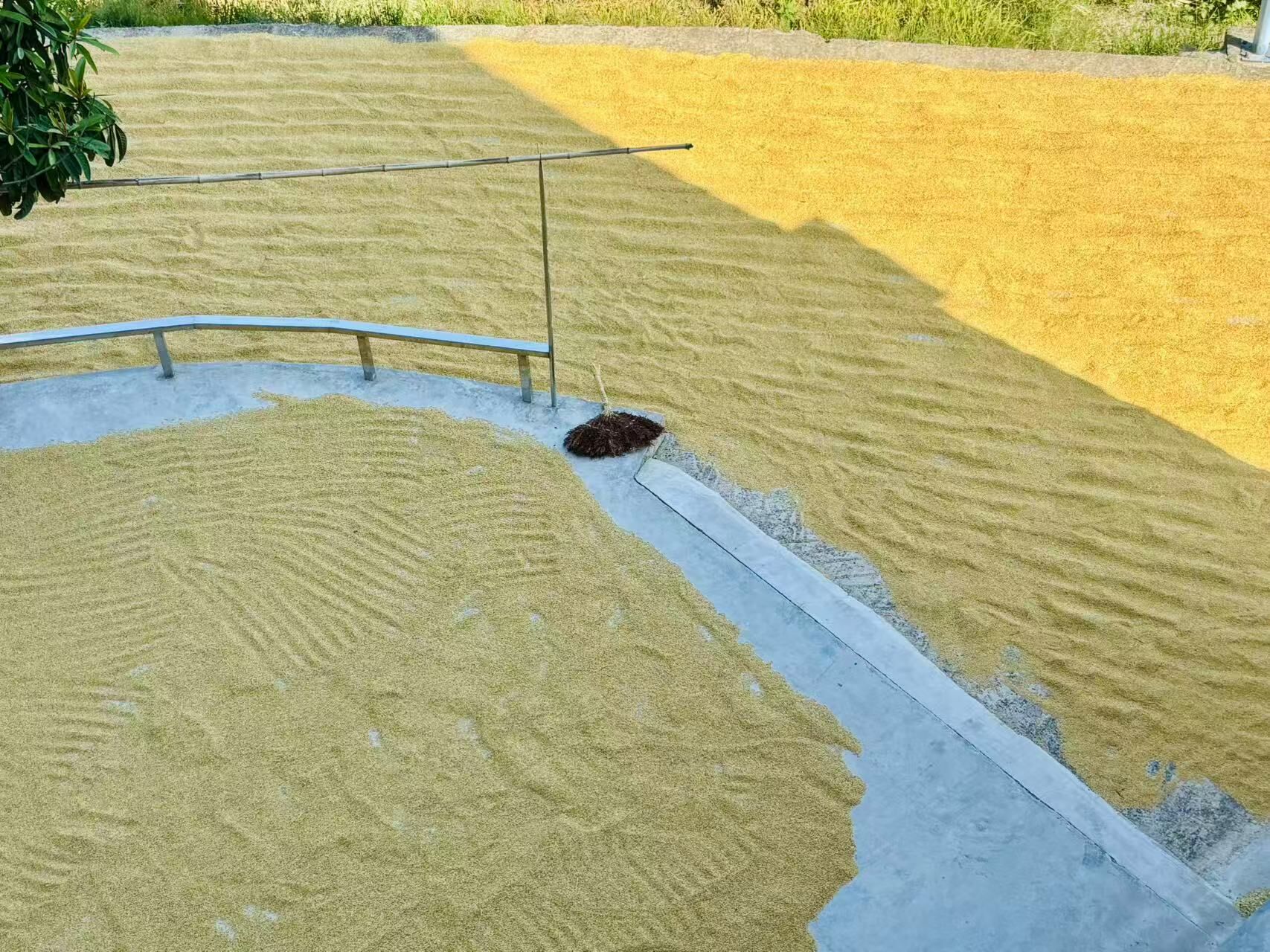 亚洲精品无码高潮喷水A片小说