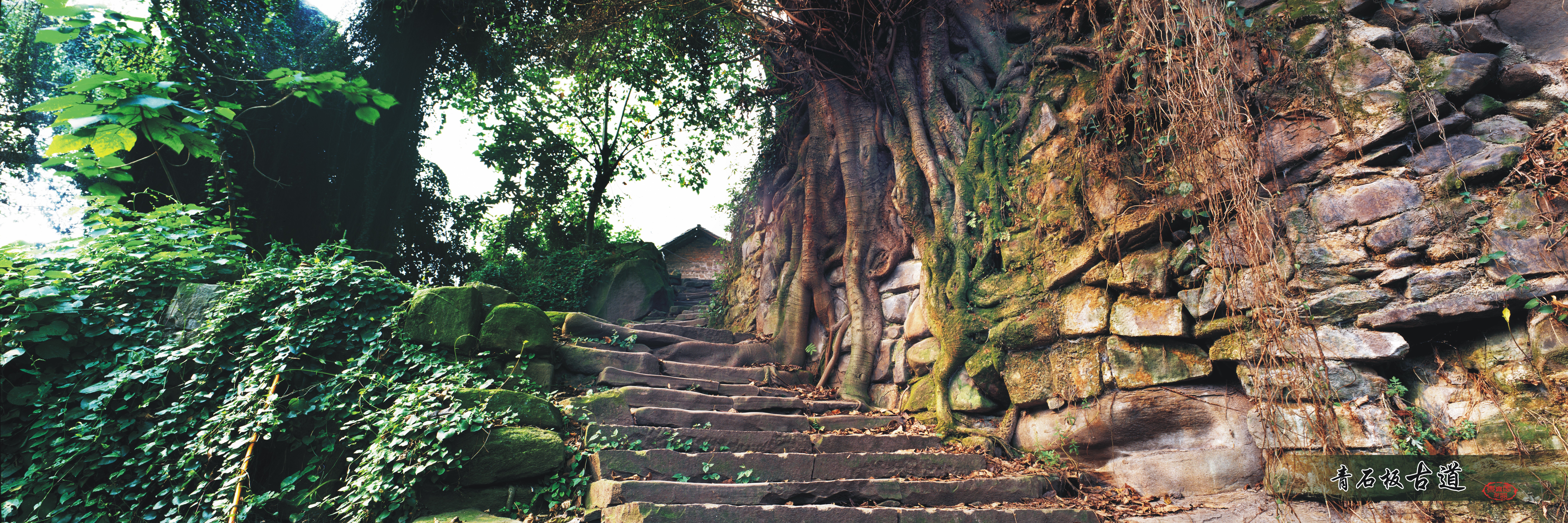 亚洲精品无码高潮喷水A片小说