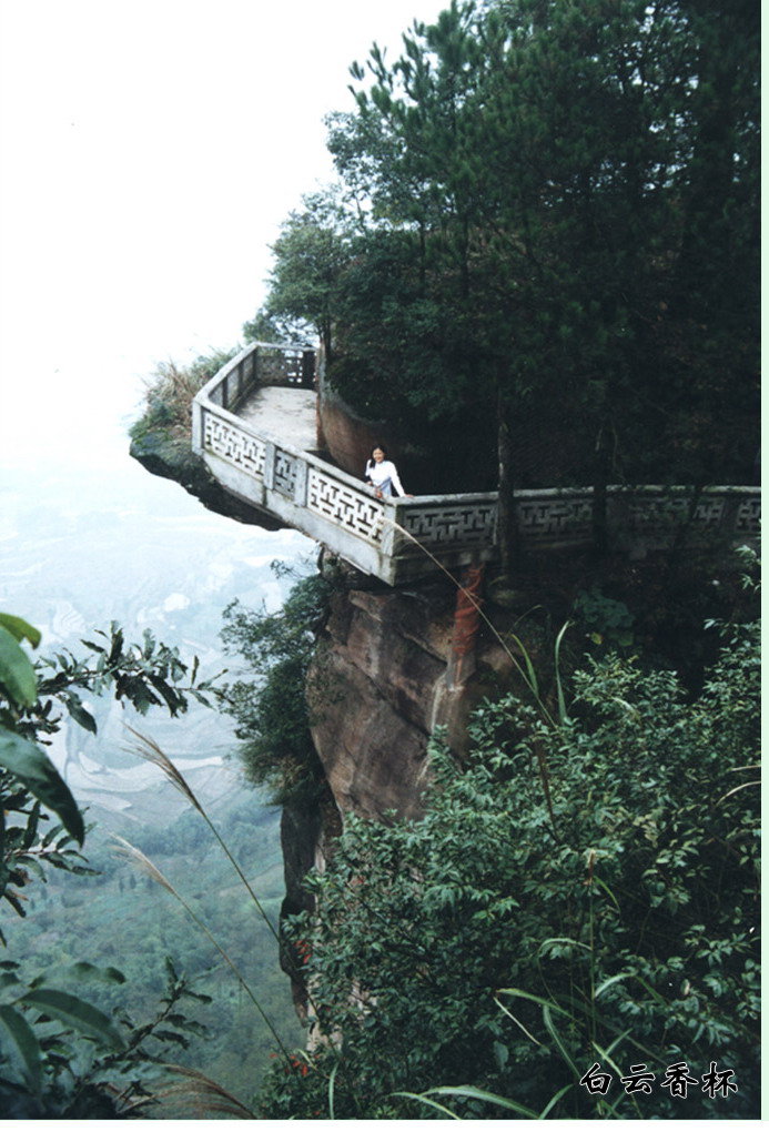 亚洲精品无码高潮喷水A片小说