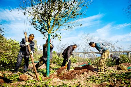 亚洲精品无码高潮喷水A片小说